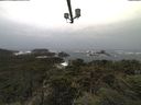 ./images/calvert/lookout/20211020/lookout20211020_100002.jpg