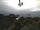 ./images/calvert/lookout/20211020/lookout20211020_113502.jpg