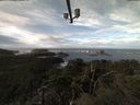 ./images/calvert/lookout/20211025/lookout20211025_112501.jpg