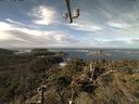 ./images/calvert/lookout/20211025/lookout20211025_114002.jpg