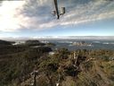 ./images/calvert/lookout/20211028/lookout20211028_113501.jpg