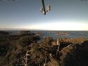 ./images/calvert/lookout/20211029/lookout20211029_093501.jpg