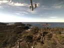 ./images/calvert/lookout/20211030/lookout20211030_125502.jpg