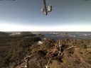 ./images/calvert/lookout/20211031/lookout20211031_121501.jpg
