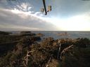 ./images/calvert/lookout/20211101/lookout20211101_091502.jpg