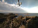 ./images/calvert/lookout/20211101/lookout20211101_092502.jpg