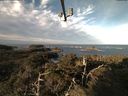 ./images/calvert/lookout/20211101/lookout20211101_093502.jpg