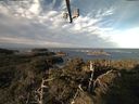 ./images/calvert/lookout/20211101/lookout20211101_094002.jpg