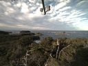 ./images/calvert/lookout/20211101/lookout20211101_100001.jpg