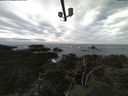 ./images/calvert/lookout/20211101/lookout20211101_112002.jpg