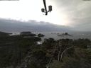 ./images/calvert/lookout/20211101/lookout20211101_125501.jpg