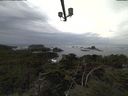 ./images/calvert/lookout/20211101/lookout20211101_130501.jpg