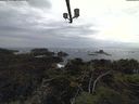 ./images/calvert/lookout/20211101/lookout20211101_131002.jpg
