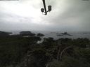 ./images/calvert/lookout/20211101/lookout20211101_134502.jpg