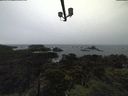 ./images/calvert/lookout/20211102/lookout20211102_135502.jpg