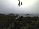 ./images/calvert/lookout/20211103/lookout20211103_145002.jpg