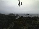 ./images/calvert/lookout/20211103/lookout20211103_151002.jpg