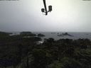 ./images/calvert/lookout/20211103/lookout20211103_152502.jpg