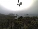 ./images/calvert/lookout/20211104/lookout20211104_141502.jpg
