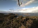 ./images/calvert/lookout/20211106/lookout20211106_095502.jpg