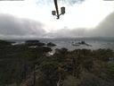 ./images/calvert/lookout/20211107/lookout20211107_102501.jpg