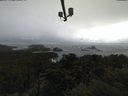 ./images/calvert/lookout/20211107/lookout20211107_113501.jpg