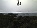 ./images/calvert/lookout/20211107/lookout20211107_121001.jpg