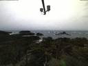 ./images/calvert/lookout/20211108/lookout20211108_072502.jpg