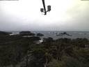 ./images/calvert/lookout/20211108/lookout20211108_074502.jpg