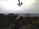 ./images/calvert/lookout/20211108/lookout20211108_075002.jpg