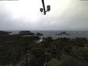 ./images/calvert/lookout/20211108/lookout20211108_080501.jpg