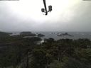 ./images/calvert/lookout/20211108/lookout20211108_084501.jpg