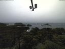 ./images/calvert/lookout/20211108/lookout20211108_114502.jpg