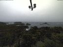./images/calvert/lookout/20211108/lookout20211108_115002.jpg