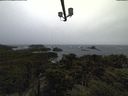 ./images/calvert/lookout/20211108/lookout20211108_134501.jpg