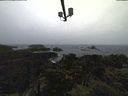 ./images/calvert/lookout/20211108/lookout20211108_135501.jpg