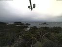 ./images/calvert/lookout/20211109/lookout20211109_092501.jpg