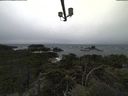 ./images/calvert/lookout/20211109/lookout20211109_094501.jpg