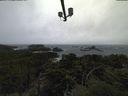 ./images/calvert/lookout/20211109/lookout20211109_095501.jpg