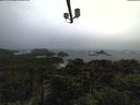 ./images/calvert/lookout/20211109/lookout20211109_112001.jpg