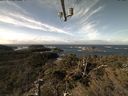./images/calvert/lookout/20211110/lookout20211110_110502.jpg