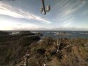 ./images/calvert/lookout/20211110/lookout20211110_111002.jpg