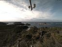 ./images/calvert/lookout/20211110/lookout20211110_113501.jpg