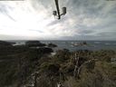 ./images/calvert/lookout/20211110/lookout20211110_120001.jpg