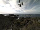 ./images/calvert/lookout/20211110/lookout20211110_122001.jpg