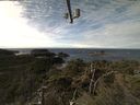 ./images/calvert/lookout/20211111/lookout20211111_114002.jpg