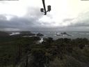 ./images/calvert/lookout/20211112/lookout20211112_131002.jpg