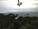 ./images/calvert/lookout/20211113/lookout20211113_095002.jpg