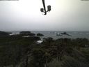 ./images/calvert/lookout/20211113/lookout20211113_113502.jpg