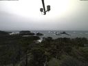 ./images/calvert/lookout/20211113/lookout20211113_114502.jpg